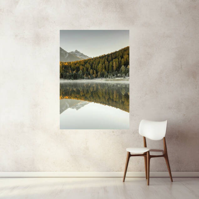 Фото Картина, що світиться, на склі - Ліс (Портрет)