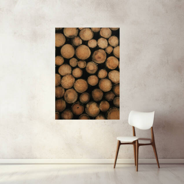 Фото Картина на полотні алюмінієвий підрамник - Дрова (Портрет)