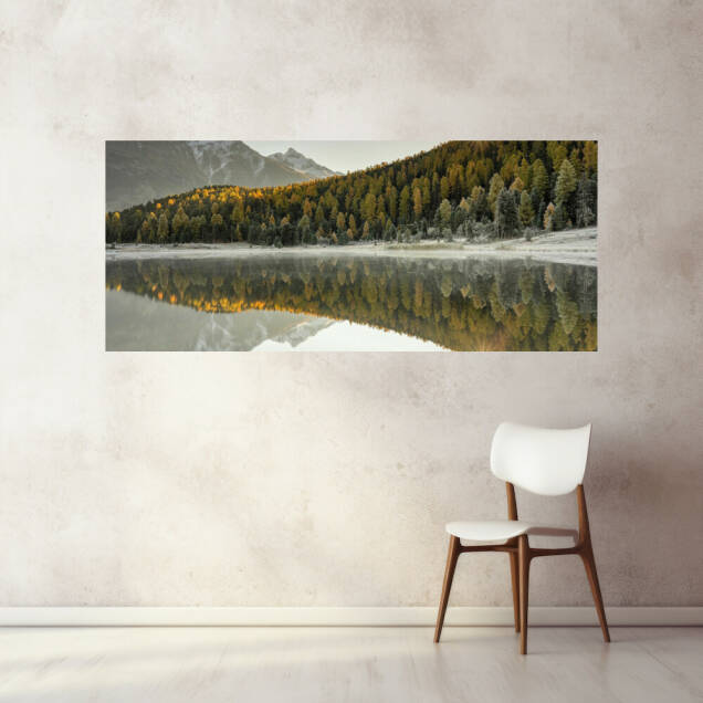 Фото Картина, що світиться, на полотні дерев'яний підрамник - Ліс (Панорама)