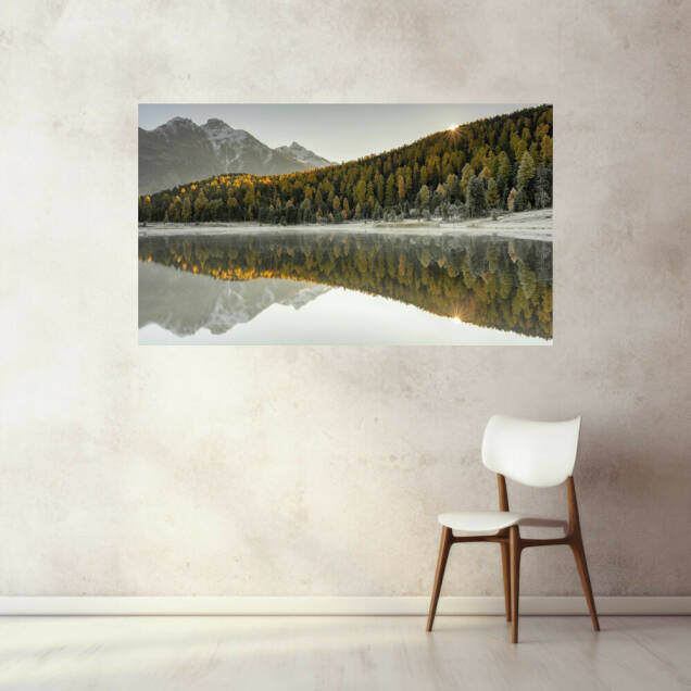 Фото Картина на холсте деревянный подрамник - Ліс (Альбом)