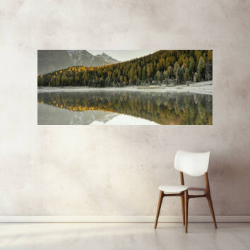 Фото Светящаяся картина на холсте деревянный подрамник - Ліс (Панорама)