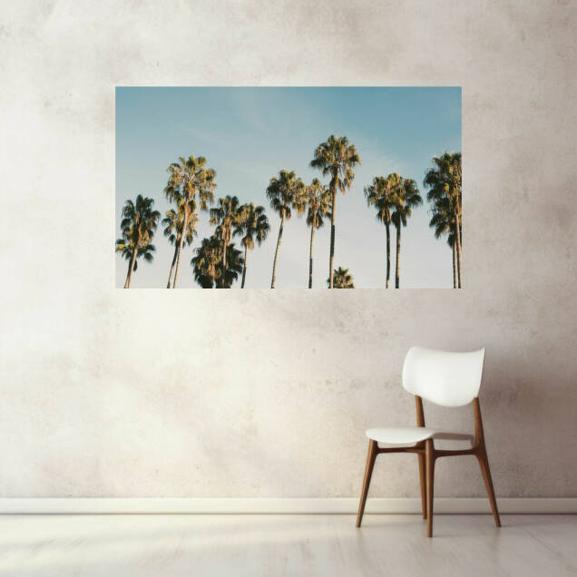 Фото Картина на холсте деревянный подрамник - Пальми (Альбом)