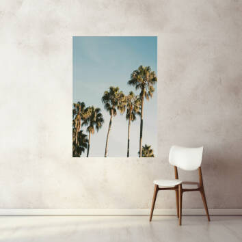 Фото Картина, що світиться, на полотні дерев'яний підрамник - Пальми (Портрет)