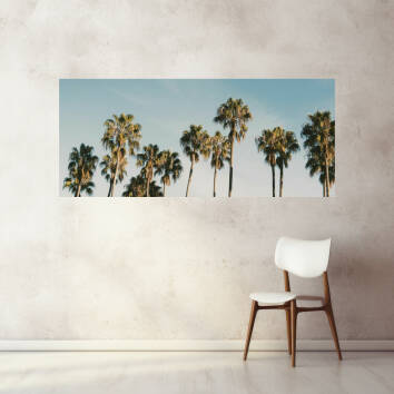 Фото Картина на стекле - Пальми (Панорама)