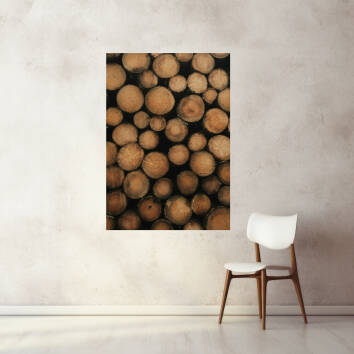 Фото Картина на полотні алюмінієвий підрамник - Дрова (Портрет)