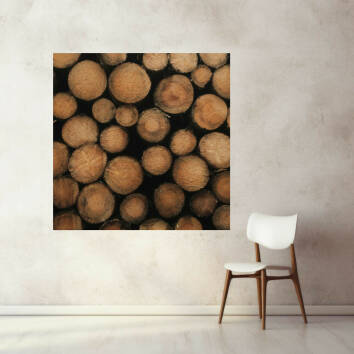 Фото Картина, що світиться, на полотні алюмінієвий підрамник - Дрова (Квадрат)