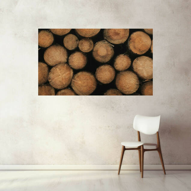 Фото Картина на холсте деревянный подрамник - Дрова (Альбом)