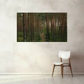 Фото Алюмінієвий профіль - Картина лісового пейзажу (Альбом)