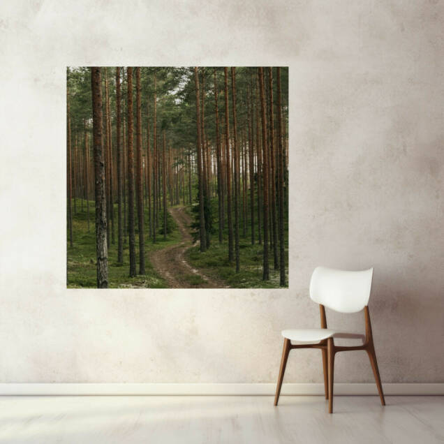 Фото Дерев'яний підрамник з підсвіткою - Картина лісового пейзажу (Квадрат)