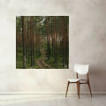 Фото Картина на склі - Картина лісового пейзажу (Квадрат)
